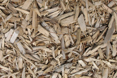 biomass boilers Common Side